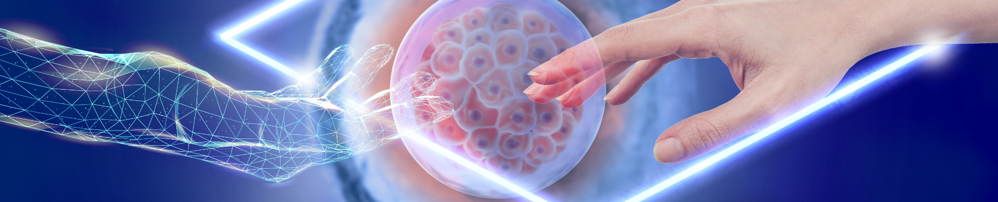 IBSA: Reproductive medicine